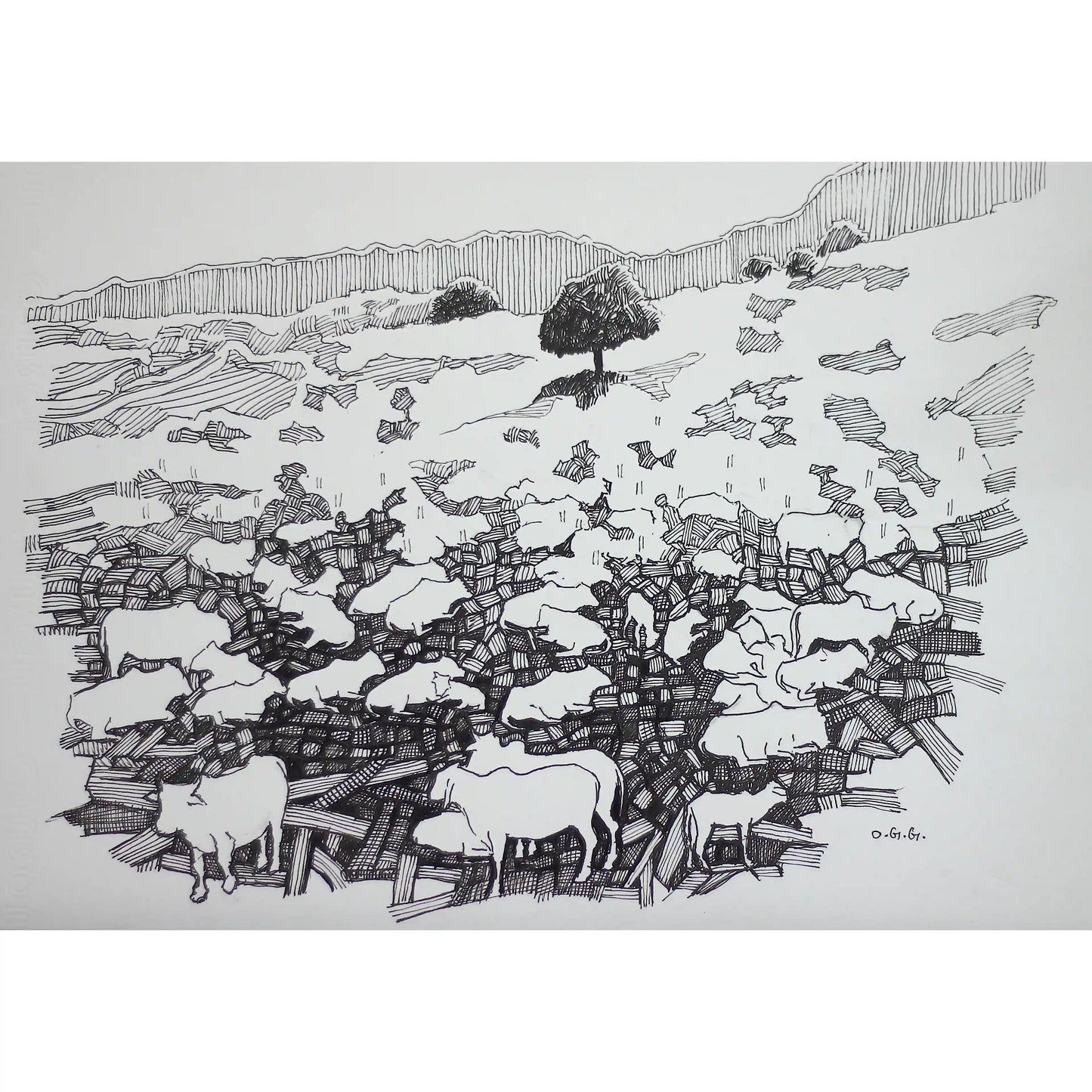 Untitled 6