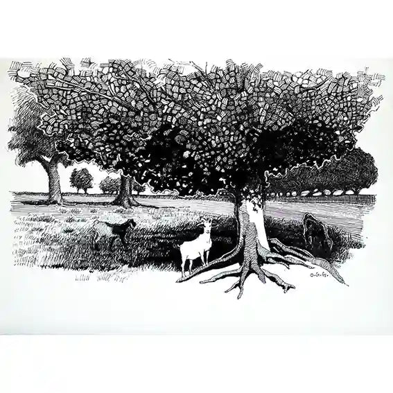 Pastoral Refuge ink painting by Obada Gabir showing goats and sheep grazing under large tree, black and white artwork